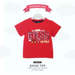 BJS015 - Gaius Top