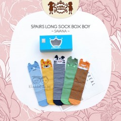 Petite Mimi - 5Pairs Long Sock Box Boy- Savana