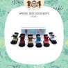 Petite Mimi - 6Pairs Box Sock Boys - Punk