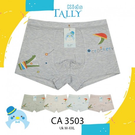 Tally - ECER 1 PCS Celana Dalam Anak CA3503 [ECER 1 PCS]